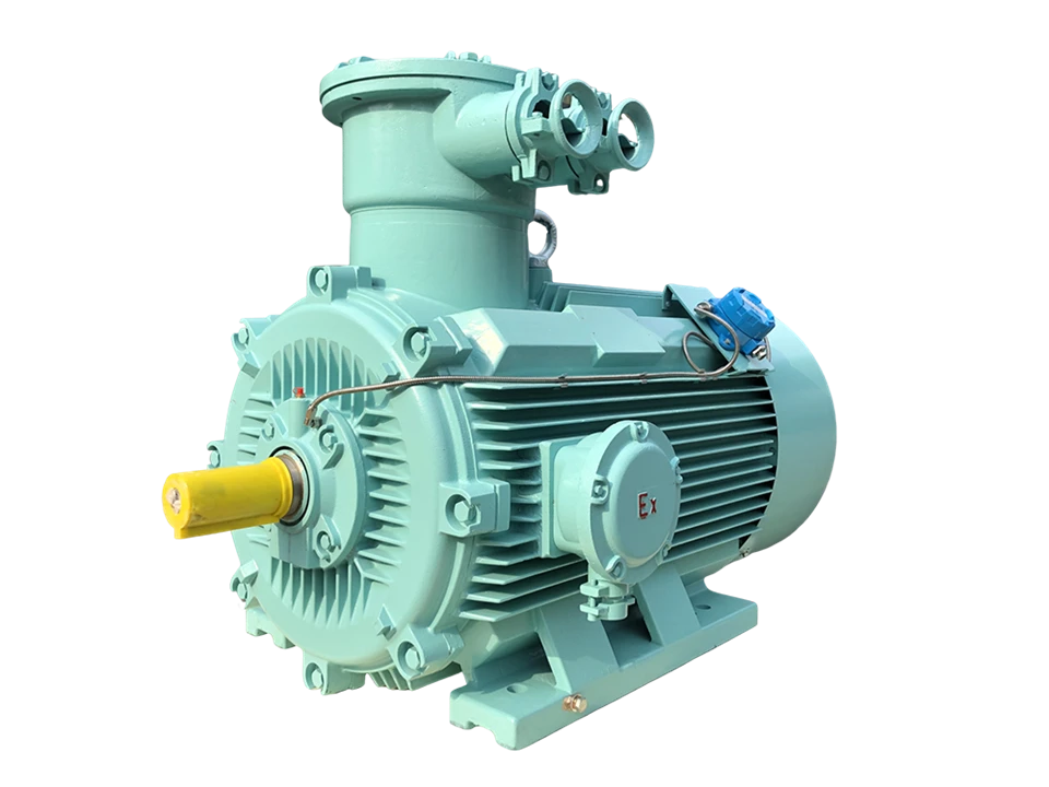 Explosion Proof Induction Electric Motor