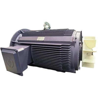 Three Phase Squirrel Cage Motor